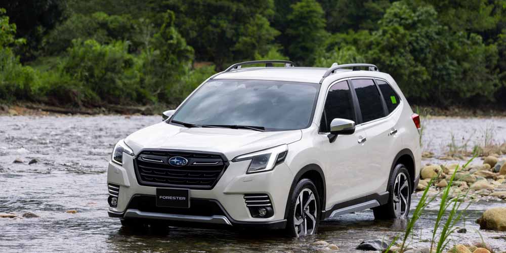 giá lăn bánh forester mới nhất