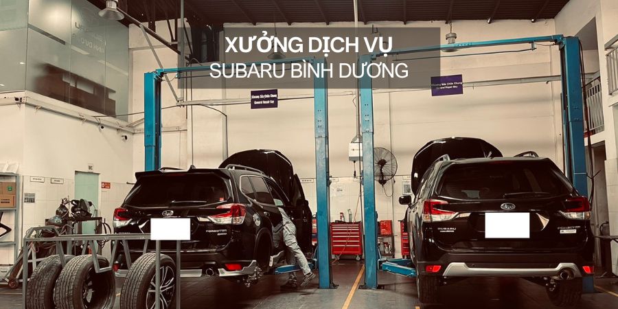 dịch vụ bảo dưỡng tại subaru bình dương