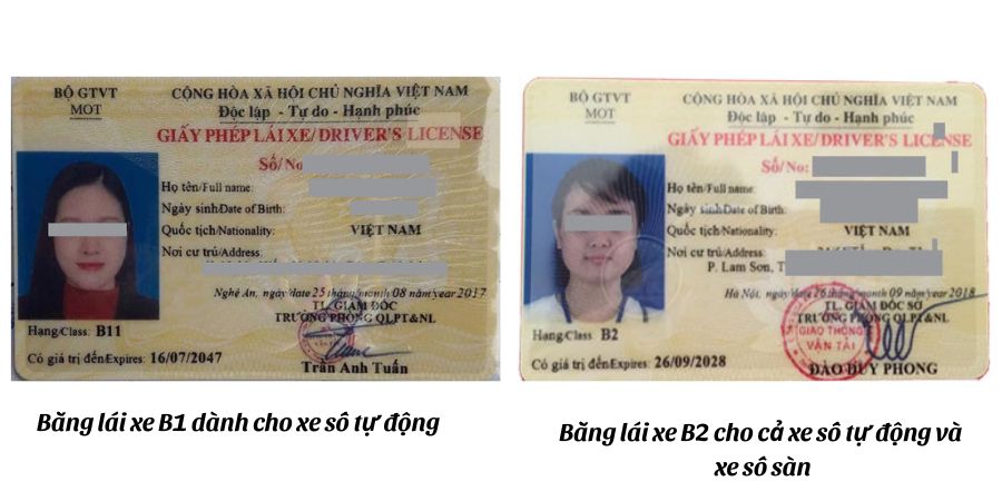 Phân biệt bằng b1 và b2 