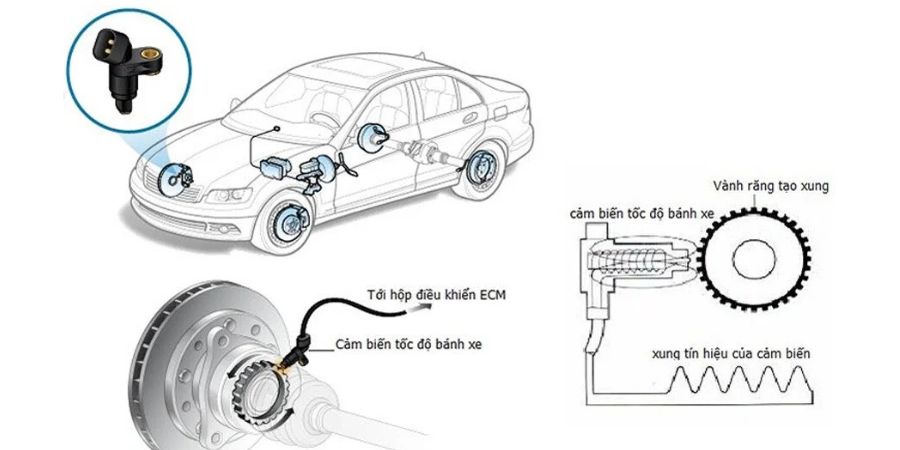Cảm biến tốc độ bánh xe kết nối với hộp điều khiển ECM để xác định khi xe dừng hẳn