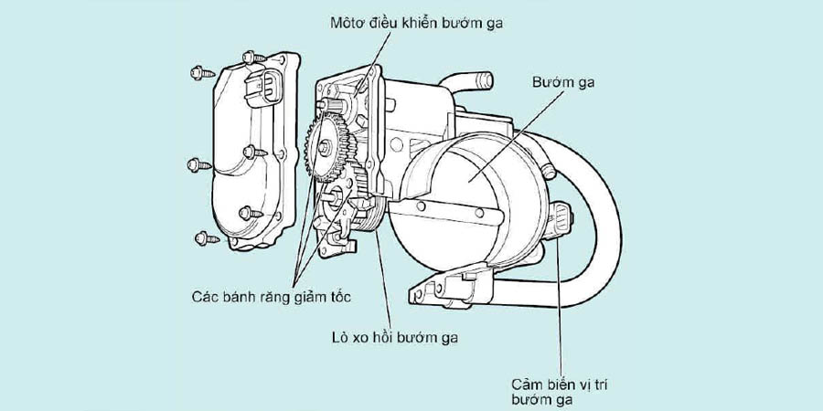 Cấu tạo cảm biến bướm ga