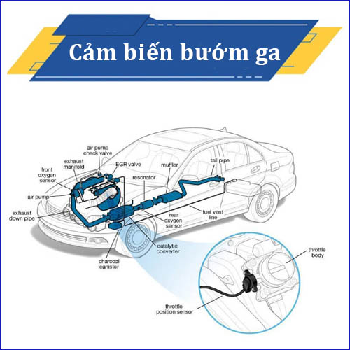 Cảm biến bướm ga là gì