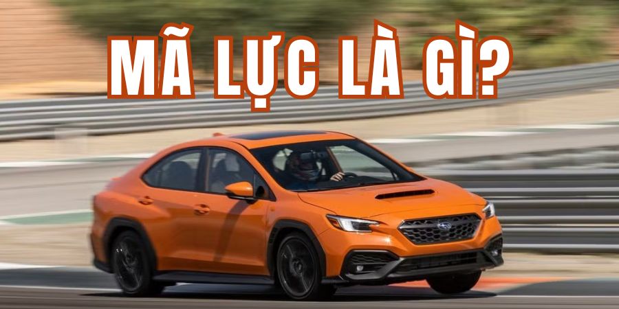 Mã lực là gì?