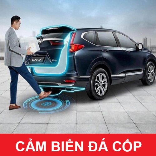 Cảm Biến Đá Cốp Hướng Dẫn Toàn Diện Và Chi Phí Lắp Đặt 2025