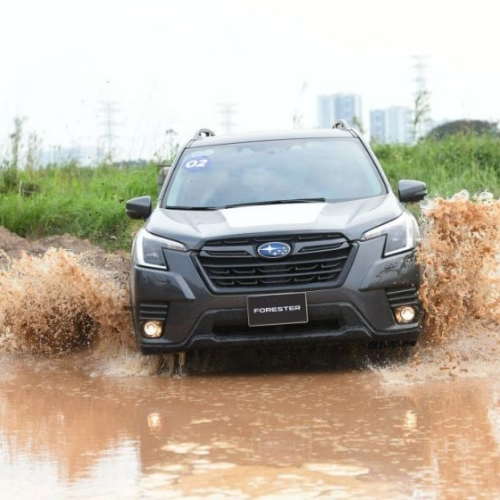 Khả năng lội nước của Forester
