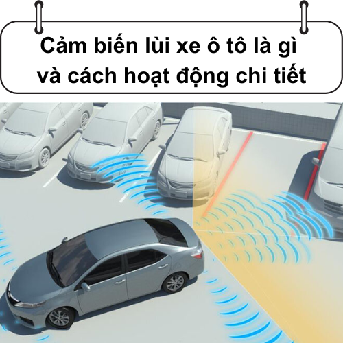 Cover Cam bien lui xe o to la gi va cach hoat dong chi tiet