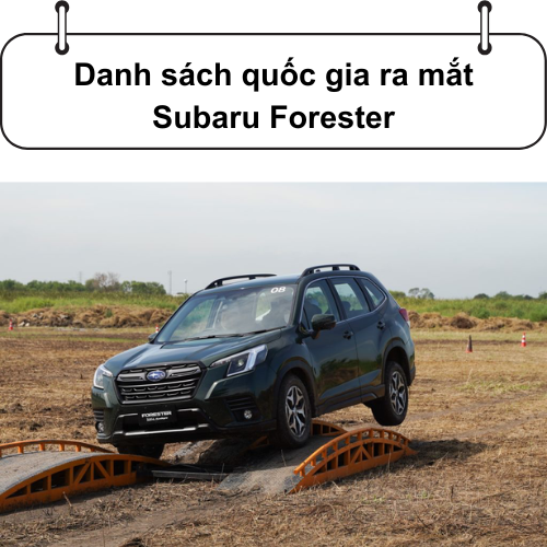 Cover ra mat forester