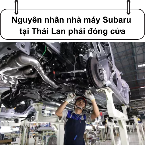 Cover thai lan